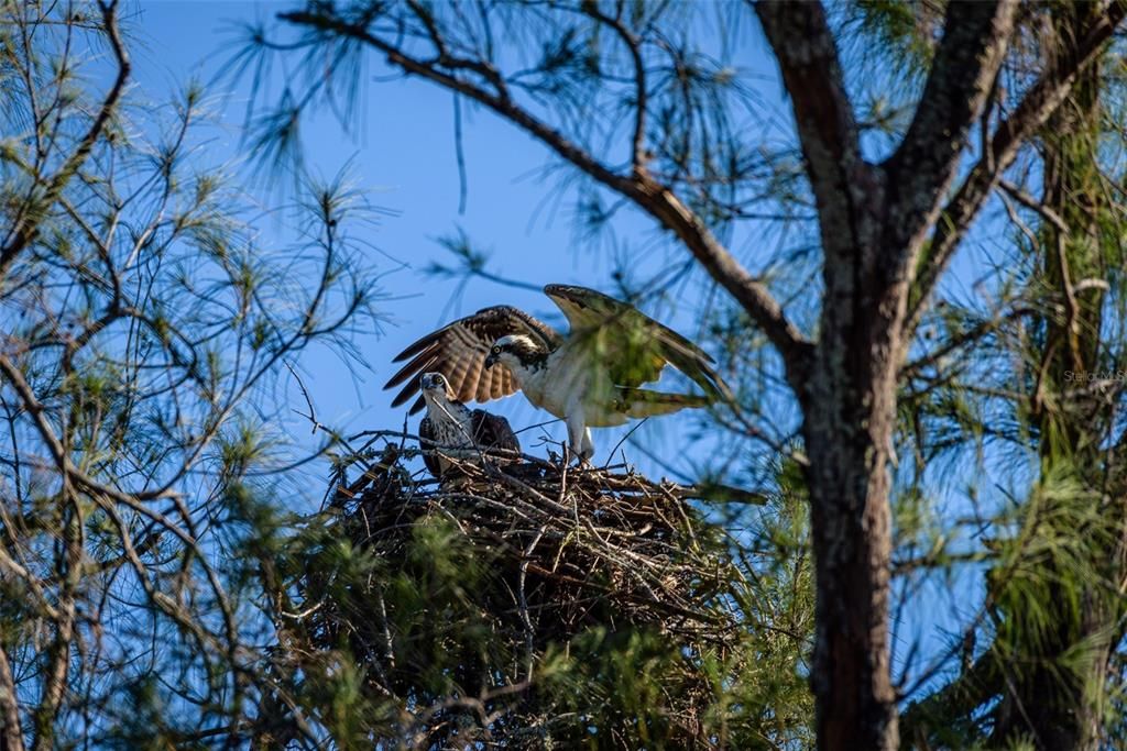 En Venta: $300,000 (2 camas, 2 baños, 1311 Pies cuadrados)