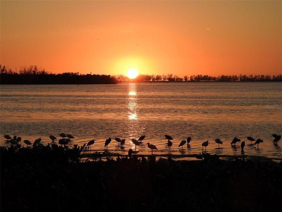 En Venta: $300,000 (2 camas, 2 baños, 1311 Pies cuadrados)