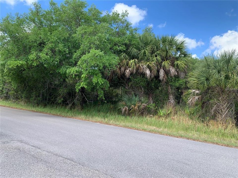 En Venta: $90,000 (0.23 acres)