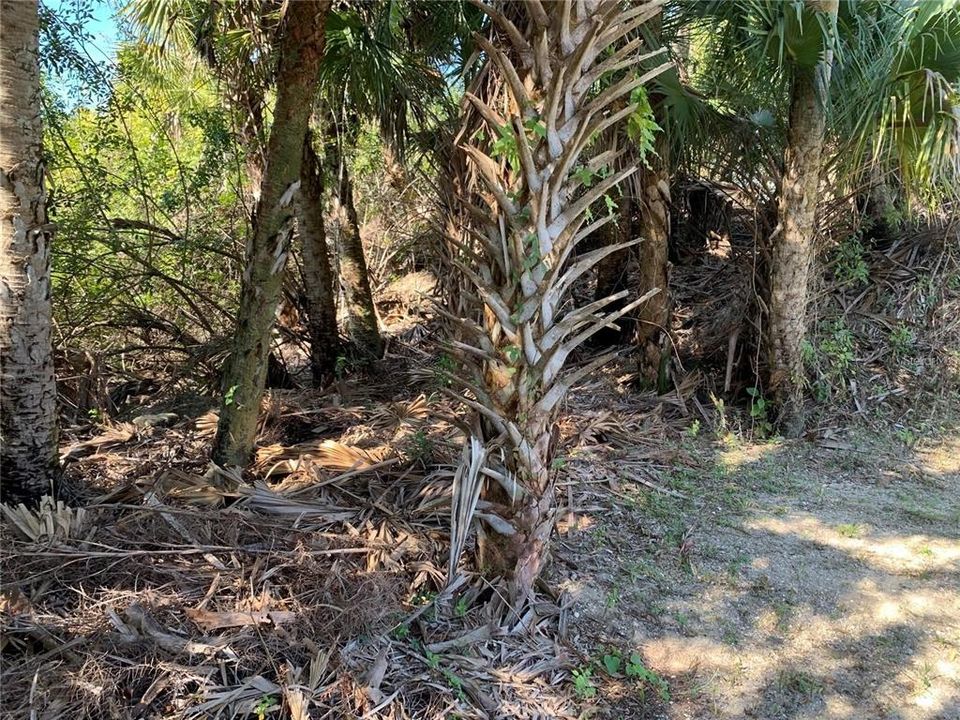 En Venta: $90,000 (0.23 acres)