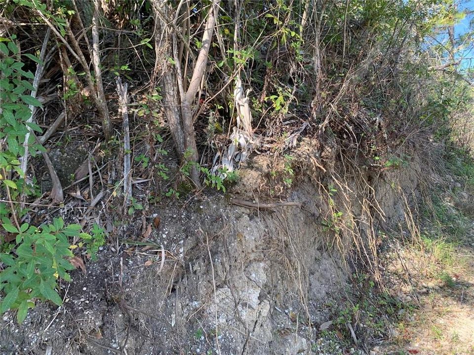 En Venta: $90,000 (0.23 acres)