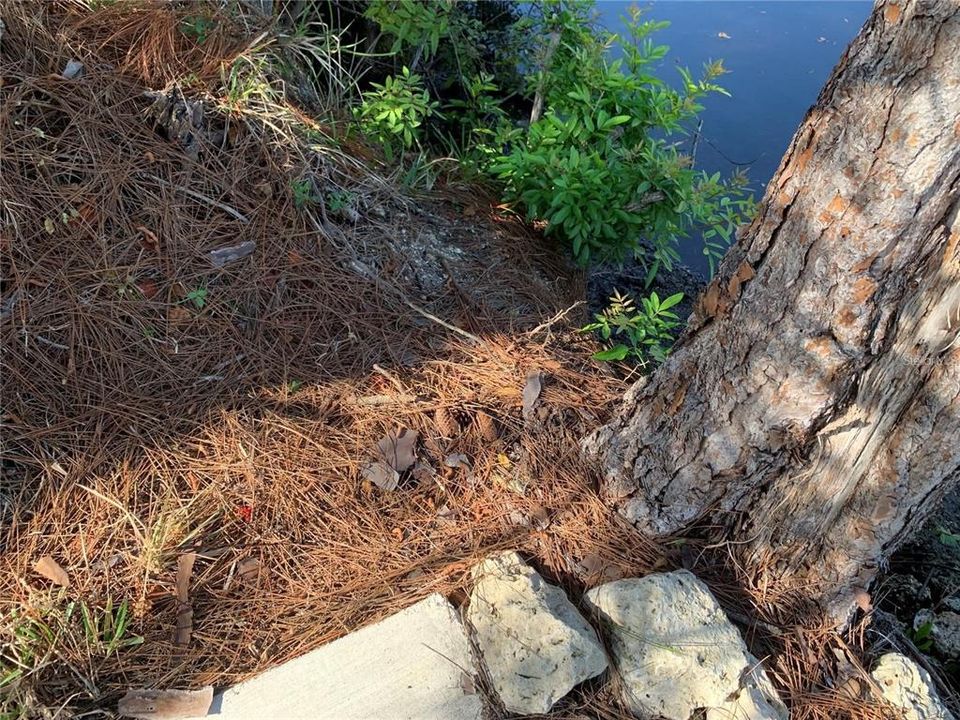 En Venta: $90,000 (0.23 acres)