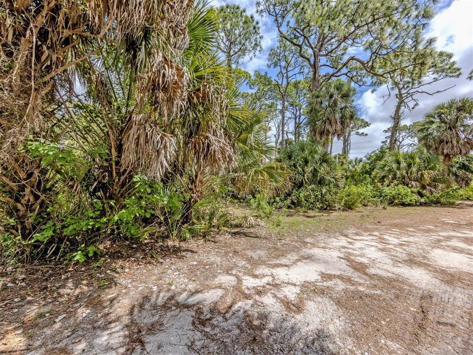 En Venta: $4,600,000 (20.30 acres)