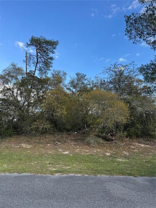 合同活跃: $45,000 (0.33 acres)