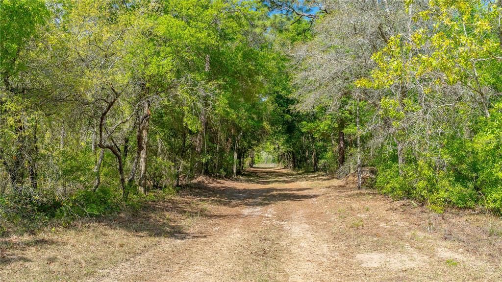 En Venta: $174,900 (8.17 acres)
