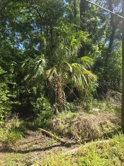 待售: $99,000 (1.68 acres)