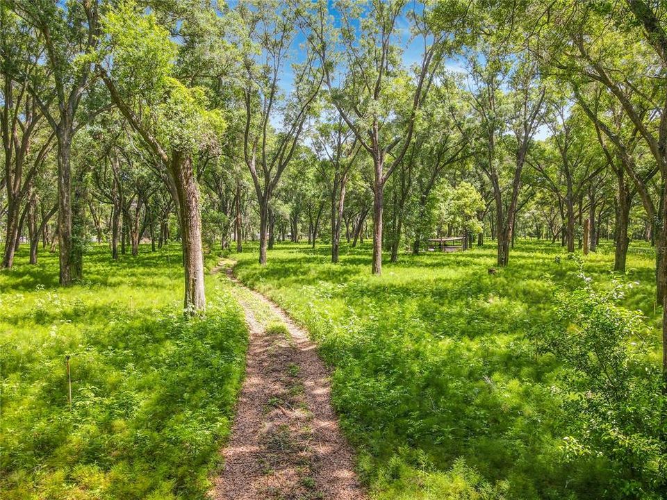 На продажу: $399,900 (16.76 acres)