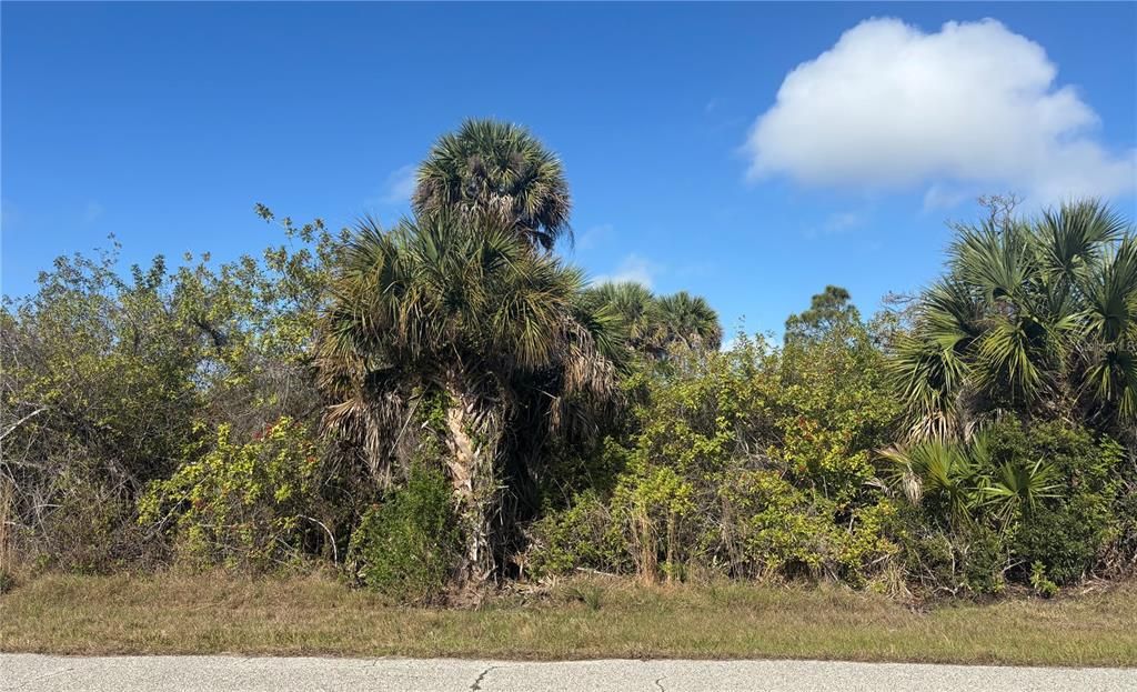 На продажу: $19,500 (0.23 acres)