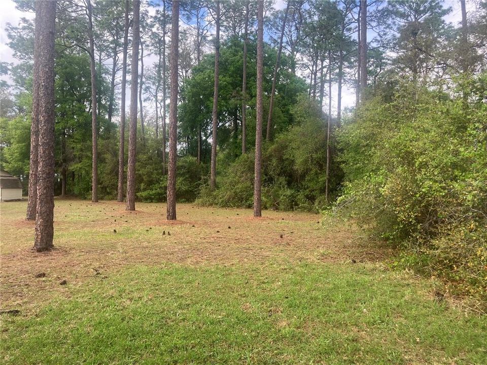 For Sale: $325,000 (4 beds, 2 baths, 1813 Square Feet)