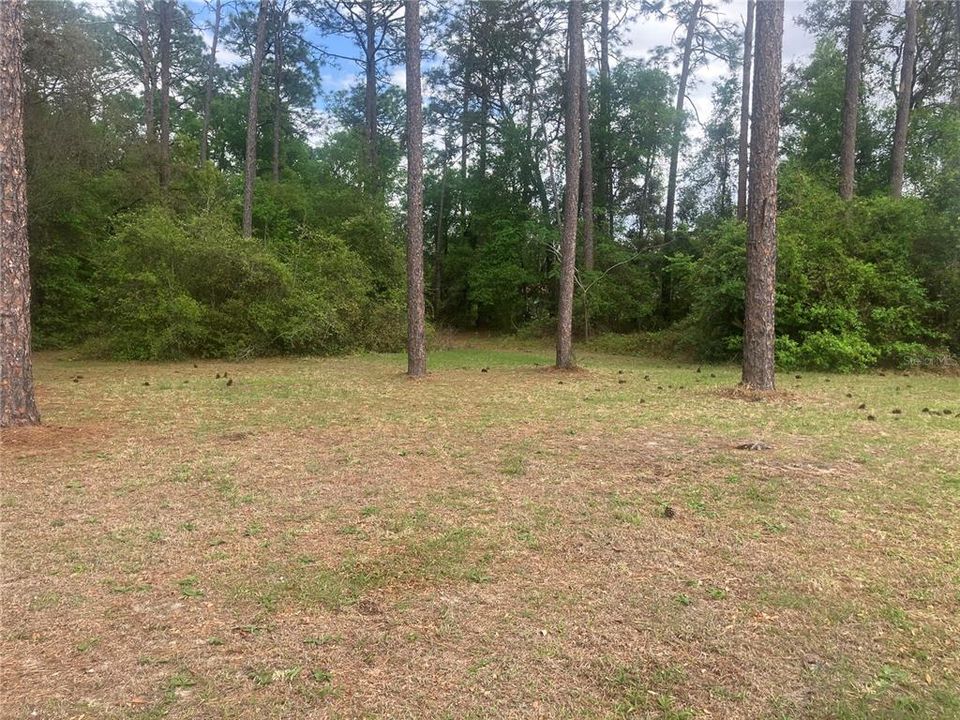 For Sale: $325,000 (4 beds, 2 baths, 1813 Square Feet)