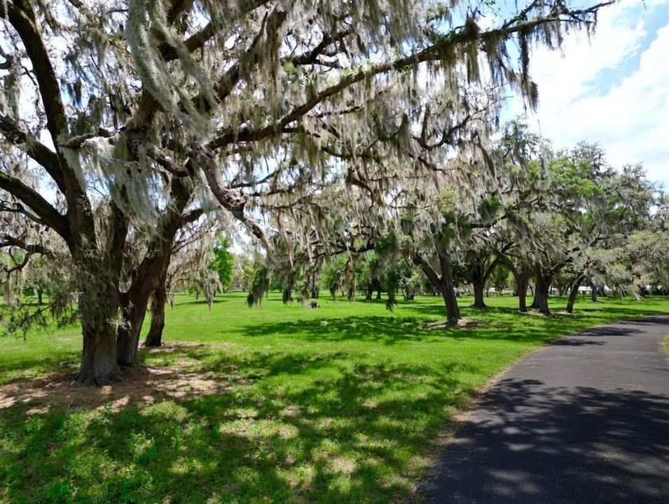 For Sale: $515,000 (10.00 acres)