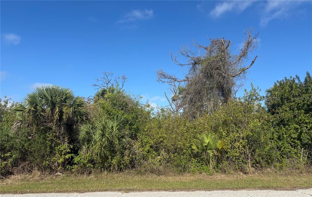 На продажу: $19,500 (0.23 acres)