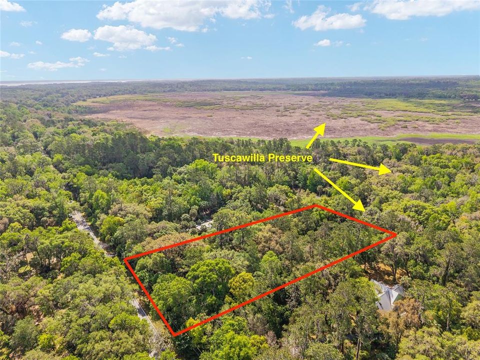 For Sale: $139,000 (1.51 acres)