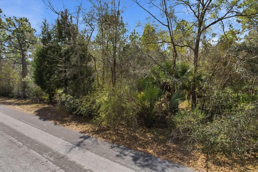 En Venta: $39,000 (1.16 acres)