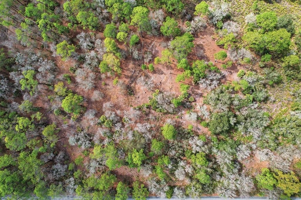 En Venta: $39,000 (1.16 acres)