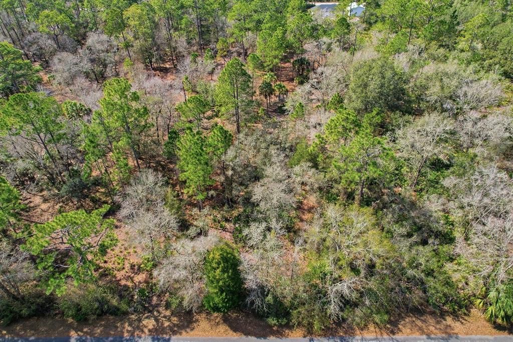 En Venta: $39,000 (1.16 acres)