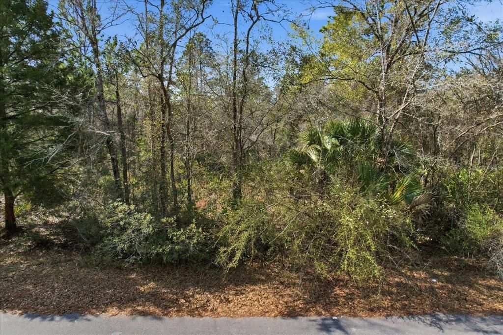 En Venta: $39,000 (1.16 acres)