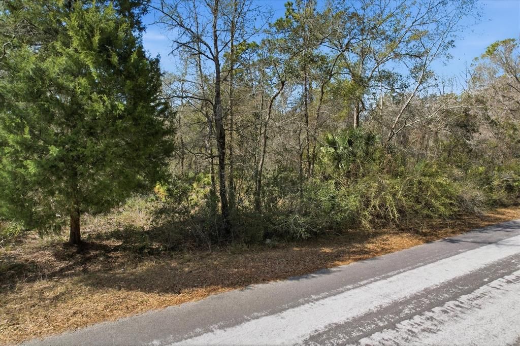 En Venta: $39,000 (1.16 acres)