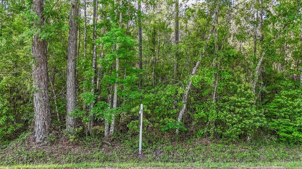 En Venta: $1,500,000 (19.50 acres)