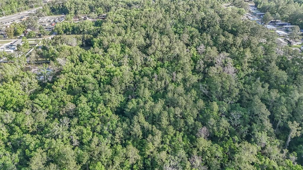 En Venta: $1,500,000 (19.50 acres)