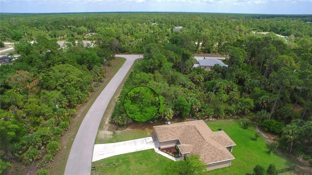 For Sale: $19,900 (0.23 acres)