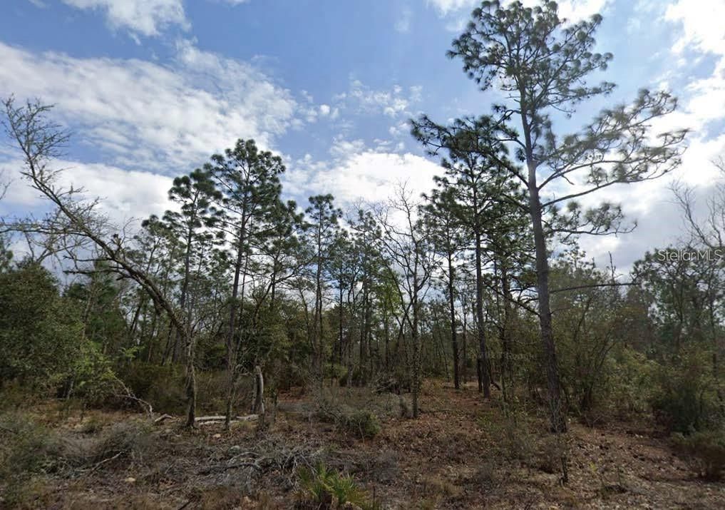 На продажу: $6,000 (0.09 acres)