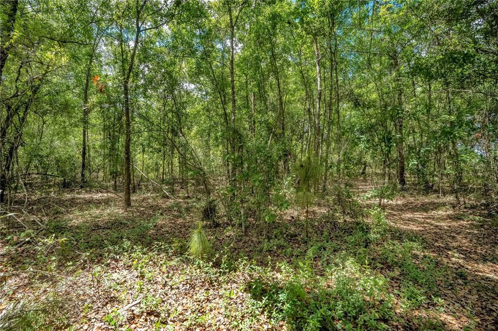 На продажу: $474,000 (2.60 acres)