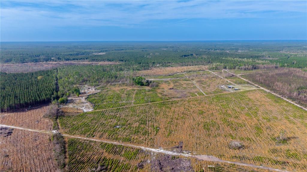 待售: $309,000 (68.11 acres)