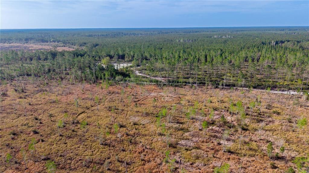 待售: $309,000 (68.11 acres)