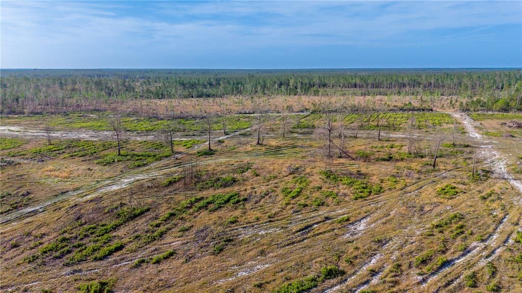 待售: $309,000 (68.11 acres)