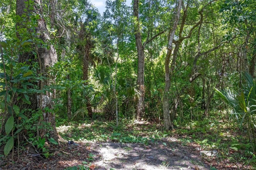 На продажу: $274,900 (1.25 acres)