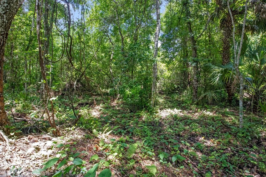 На продажу: $274,900 (1.25 acres)