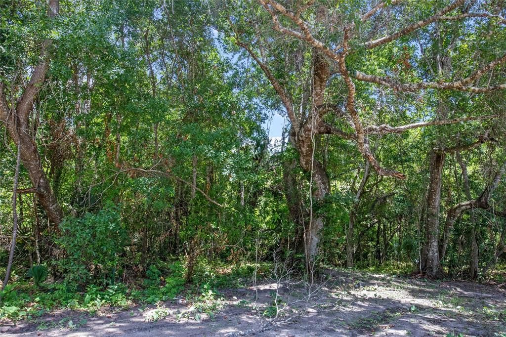 На продажу: $274,900 (1.25 acres)
