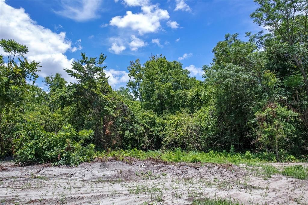 На продажу: $274,900 (1.25 acres)