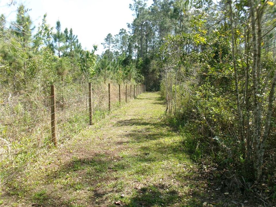 For Sale: $110,000 (1.14 acres)