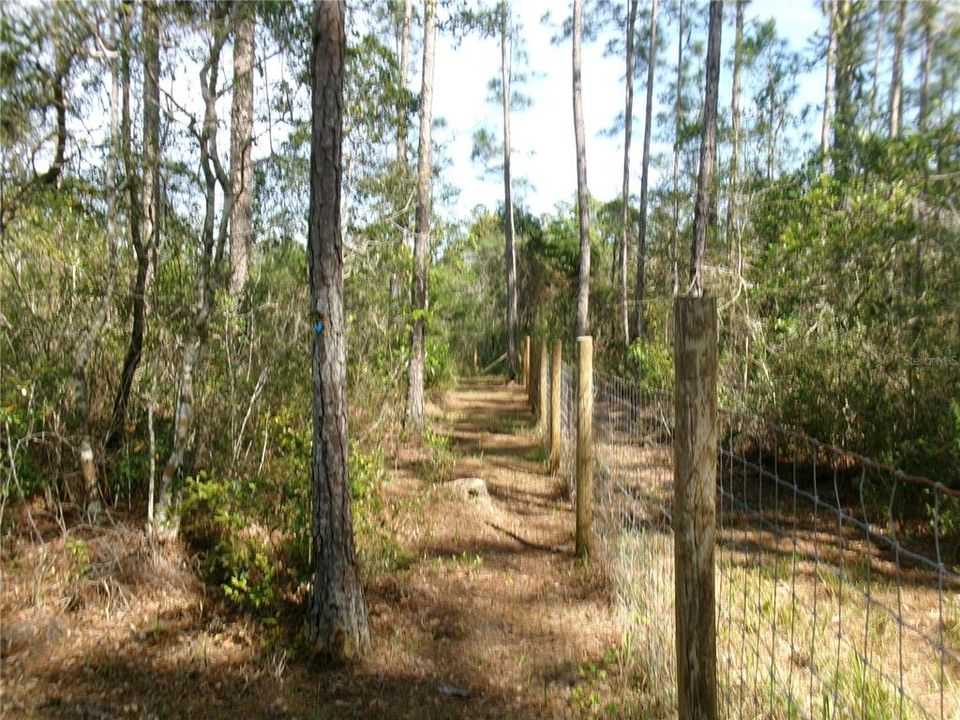 For Sale: $110,000 (1.14 acres)