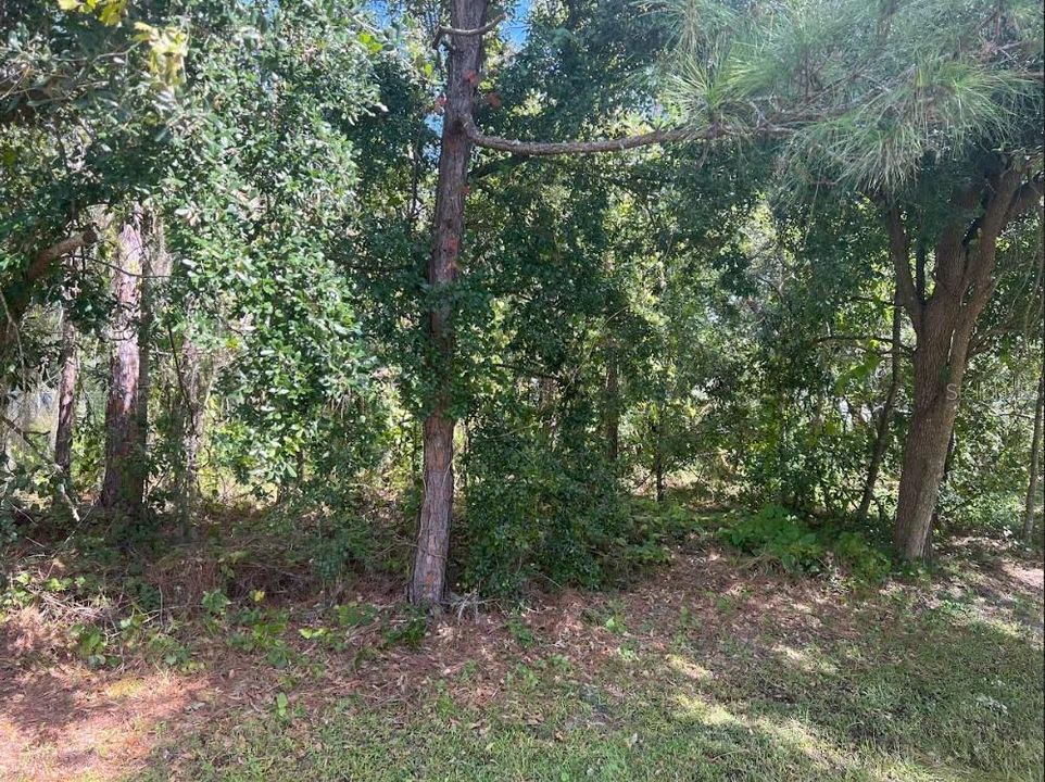 На продажу: $54,000 (0.22 acres)