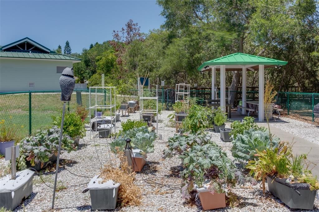 На продажу: $895,000 (0.16 acres)