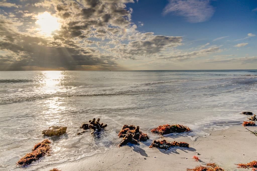 На продажу: $895,000 (0.16 acres)