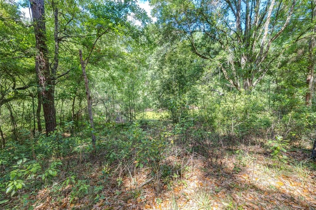 En Venta: $525,000 (5.10 acres)