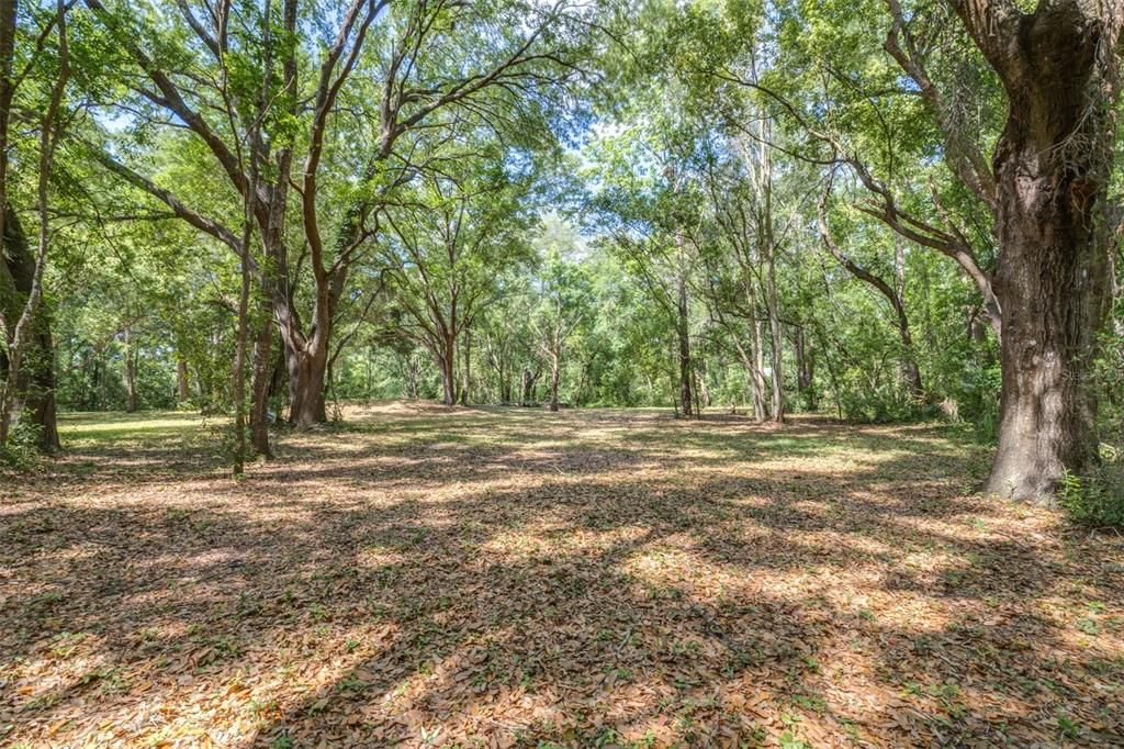 En Venta: $525,000 (5.10 acres)