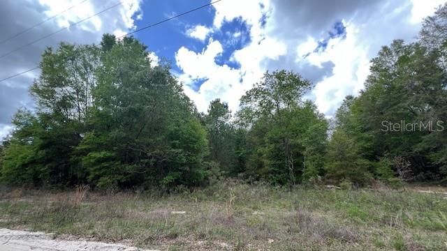 На продажу: $265,000 (5.09 acres)