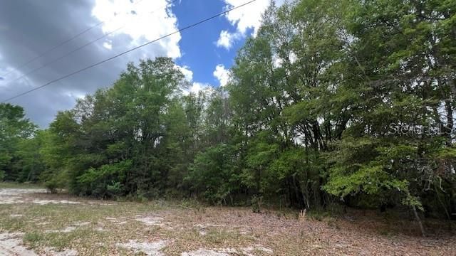 На продажу: $265,000 (5.09 acres)