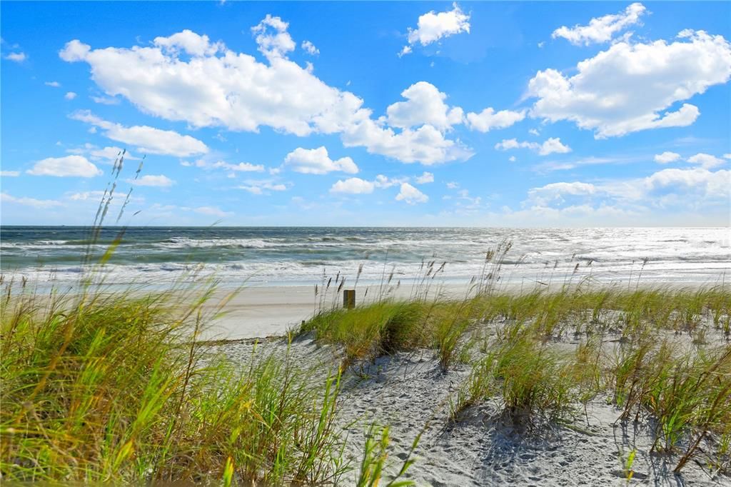 待售: $295,000 (1 贝兹, 1 浴室, 912 平方英尺)