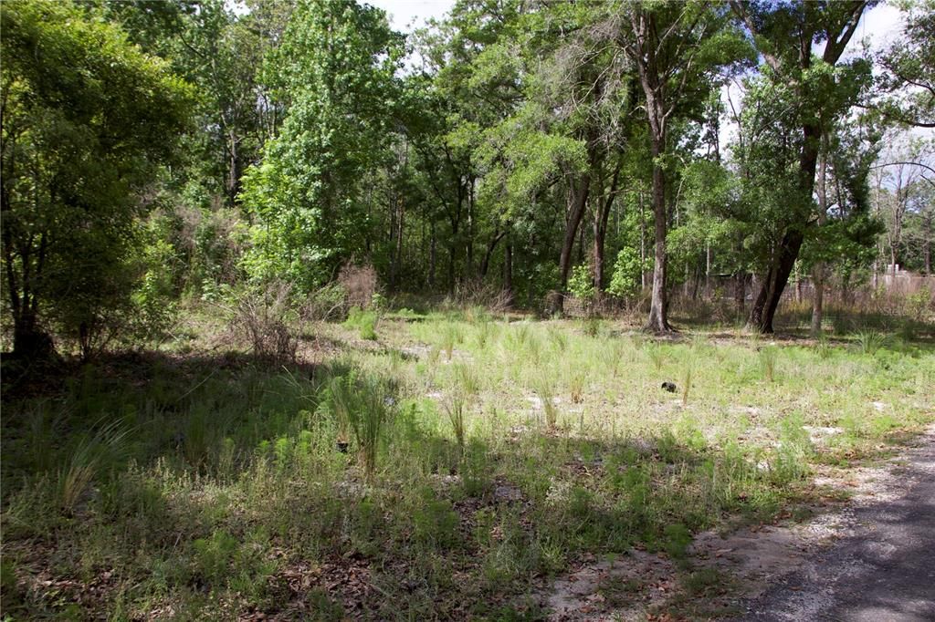 Active With Contract: $190,000 (1.97 acres)