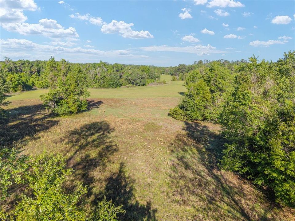 待售: $8,468,880 (293.28 acres)