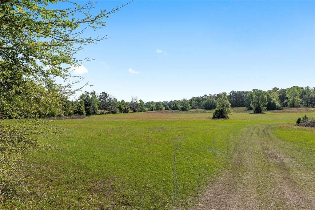 待售: $8,468,880 (293.28 acres)