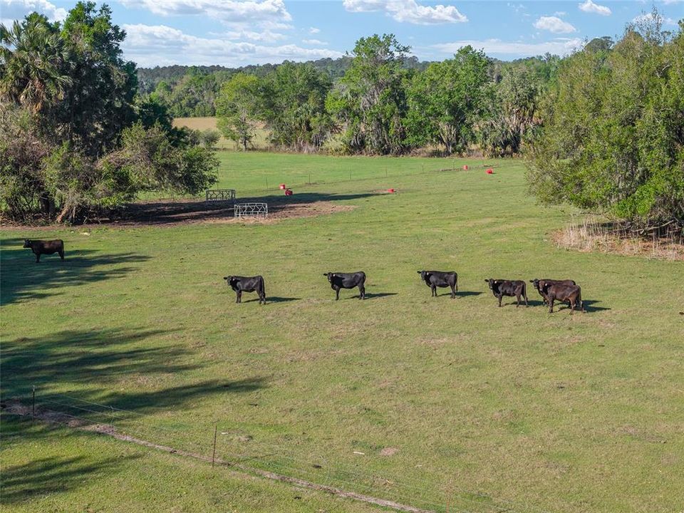 待售: $8,468,880 (293.28 acres)