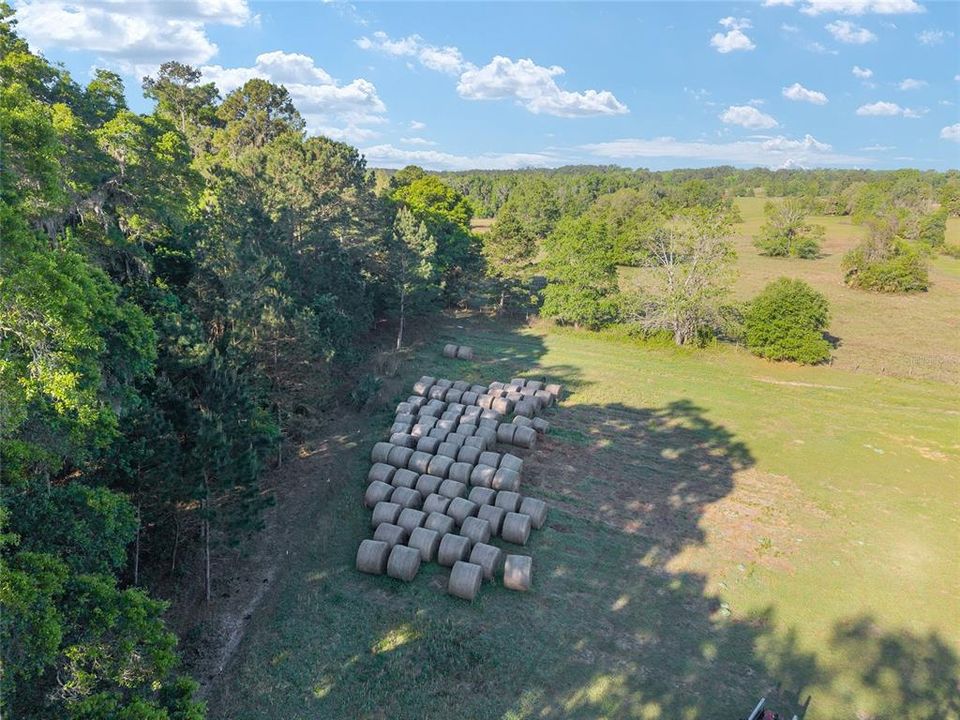 待售: $8,468,880 (293.28 acres)