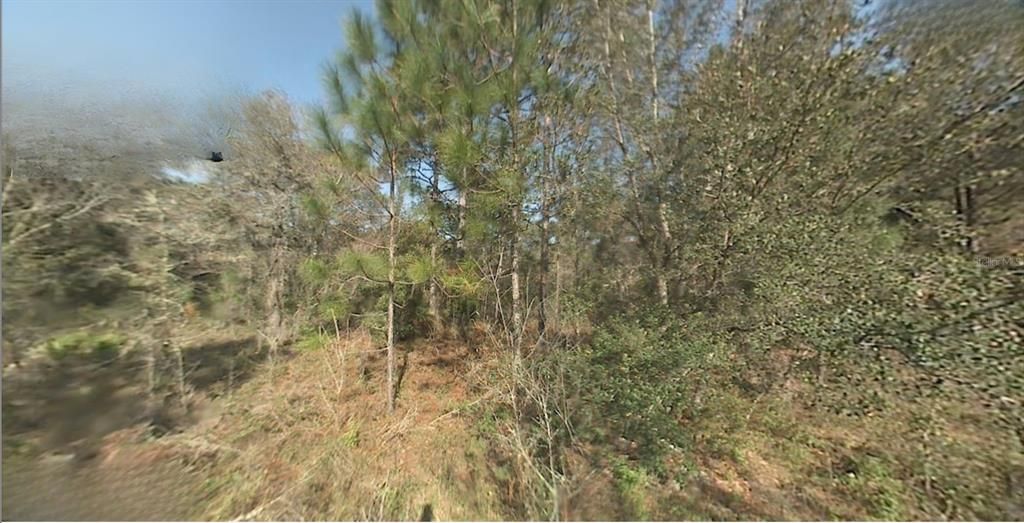 待售: $20,000 (0.24 acres)